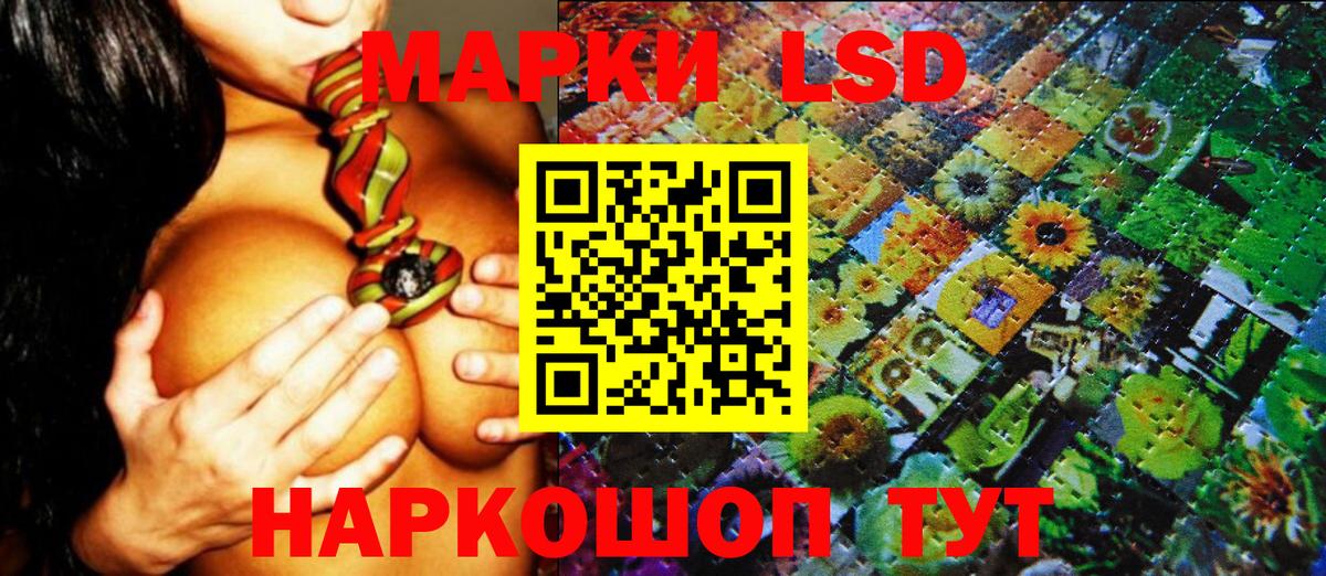 Наркотические марки 1500мкг  Вход с VPN  Наркотические марки 1500мкг  Наркотические марки  купить наркоту  Кувандык 